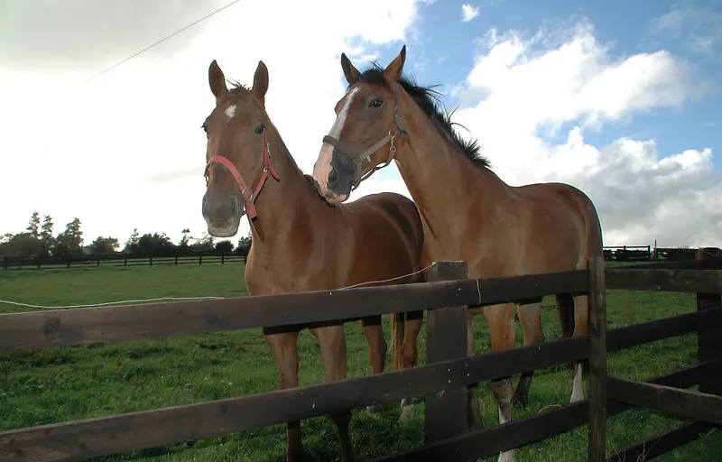 ***  Ardfield 호텔 Ballinhassig 아일랜드
